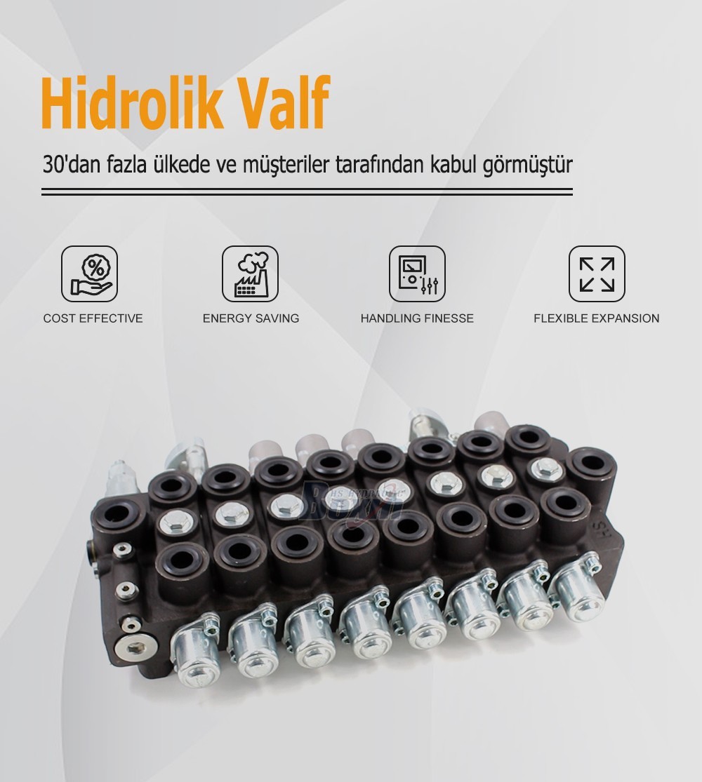 HSW50 Manual and Joystick 8 Spool Monoblock Directional Valve